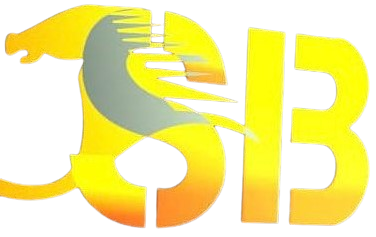 Siba Gboy Footwear: Authentic Men Footwear Logo